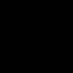 Meet your Posher, Maya